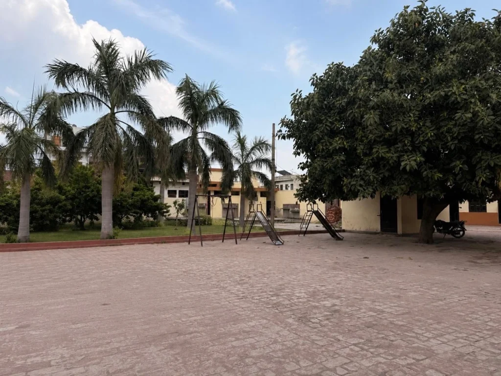 park with trees