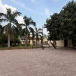 park with trees